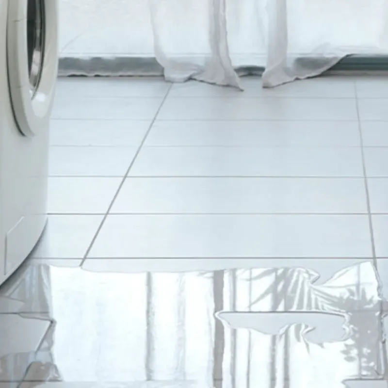 Appliance Leak Cleanup in Grundy County, MO