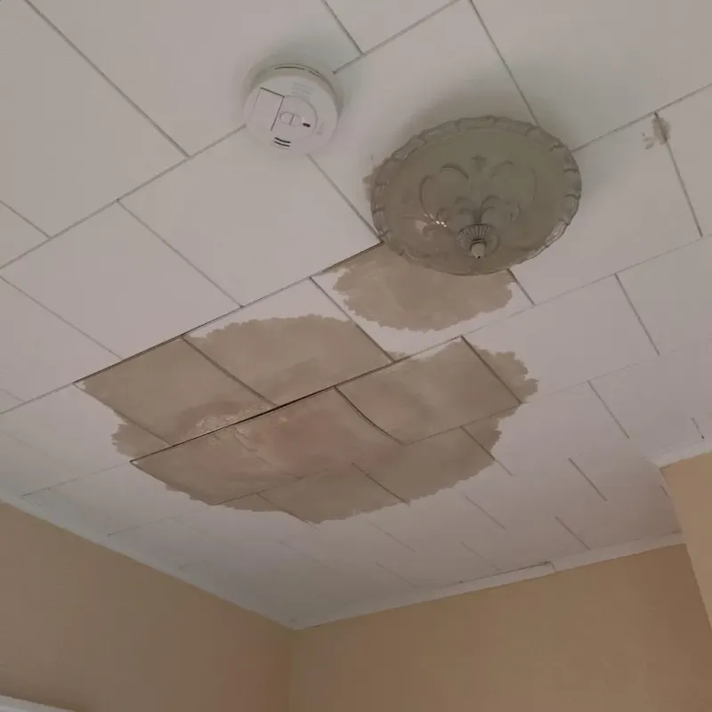 Ceiling Water Damage Repair in Grundy County, MO
