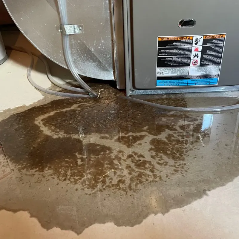Pipe Burst and Leak Restoration in Grundy County, MO