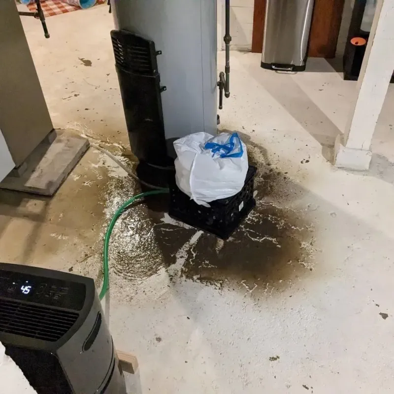 Sewage Backup Cleanup Service in Grundy County, MO